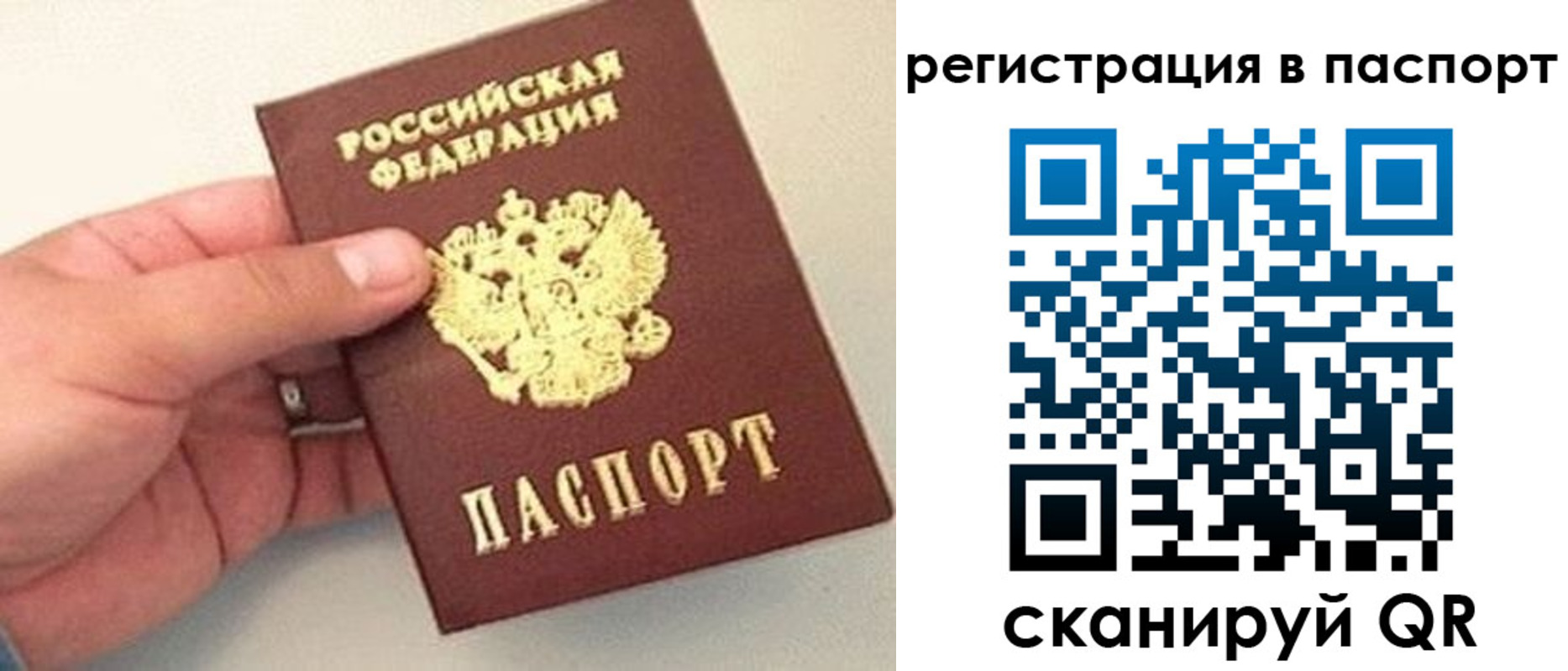 прописка законно в Камызяке
